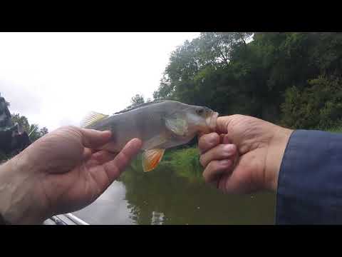 Видео: Ловля летом на спиннинг на р. Упа  сплавом.