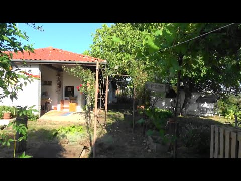 Видео: Епизод 1