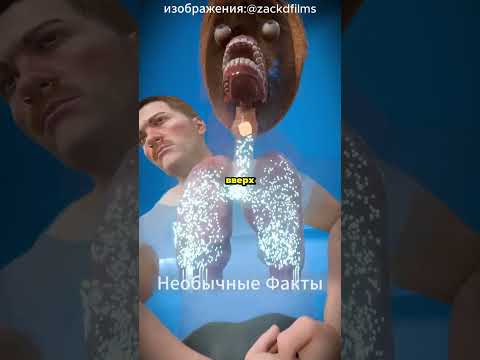 Видео: 🚨 Что делать, если человек подавился? Спасай правильно! 👐