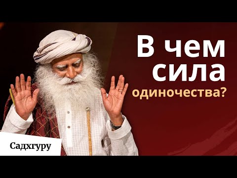 Видео: Лучше идти одному, чем в компании глупца