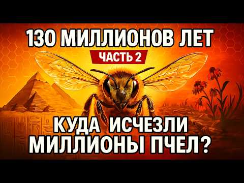 Видео: ИСТОРИЯ ПЧЕЛ — ЧАСТЬ 2 — Почему исчезают пчелы? Тихий апокалипсис