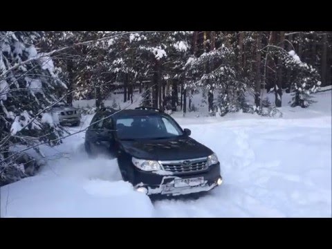 Видео: Forester vs Navara. Испытание заснеженной лесной дорогой