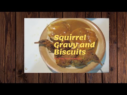 Видео: Беличья подлива и печенье