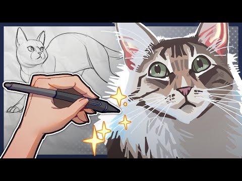 Видео: Научитесь рисовать кошек (лучше)!