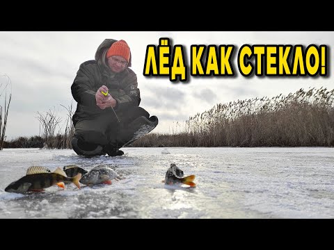 Видео: Прозрачный лёд, Дядя Фёдор, безмотылка и предновогодние окуни!