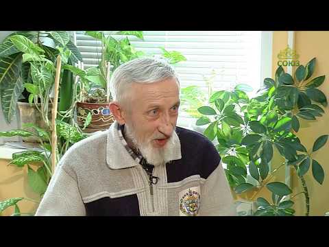 Видео: Мысли о прекрасном. 12 июля. Русский фарфор