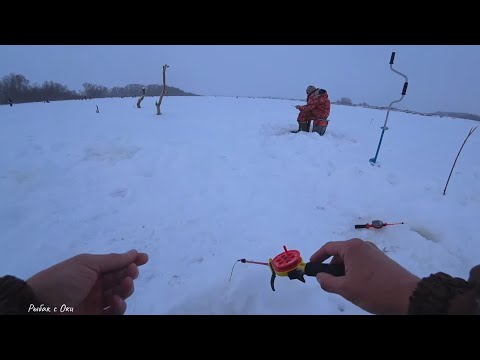 Видео: Эта снасть ловит если не клюёт! Зимняя Рыбалка на Оке 2024!