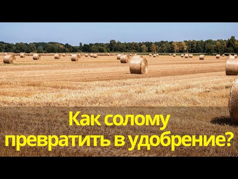 Видео: Как солому превратить в удобрение?