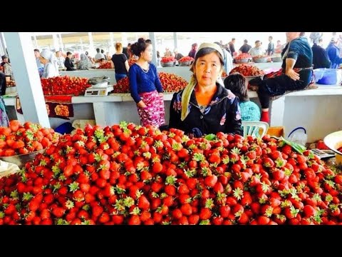 Видео: Такое можно увидеть только в Узбекистане!!!Ташкент!