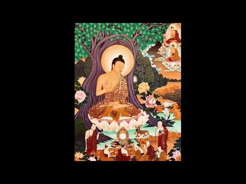 Видео: “Жадамба судар”-2