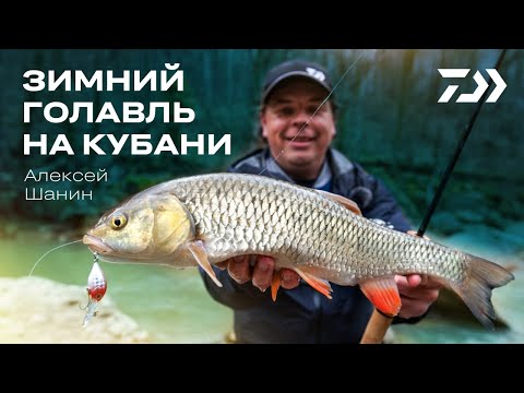 Видео: ЗИМНИЙ ГОЛАВЛЬ НА КУБАНИ. Алексей Шанин.