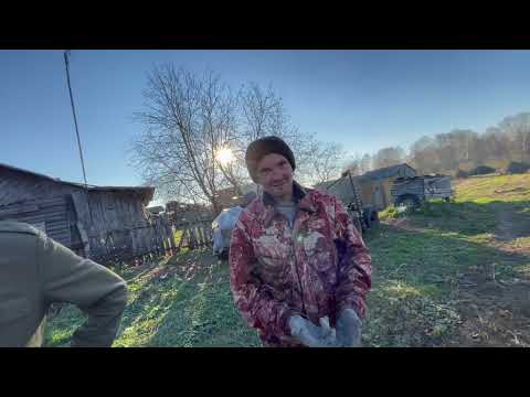 Видео: д🏡Понькино🇷🇺Кыштовский район🏡Сибирь