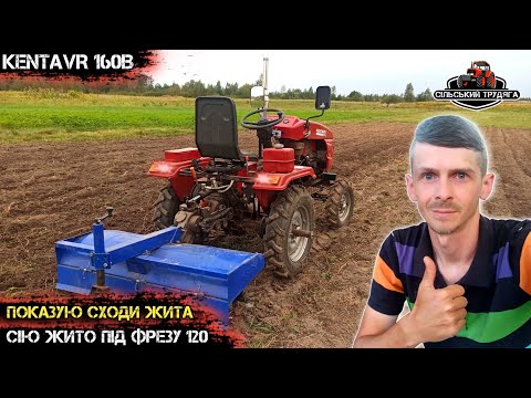 Видео: Сію жито під фрезу. Показую сходи жита. Мототрактор Кентавр 160В в роботі з фрезою. Результат супер!
