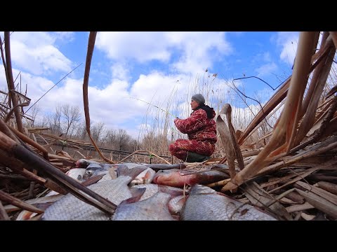 Видео: НА ВСЕХ КРЮЧКАХ. ГОЛОДНЫЙ КОСЯК РЫБЫ НА ТОМ БЕРЕГУ. Весенняя рыбалка на поплавочную и донную удочку.