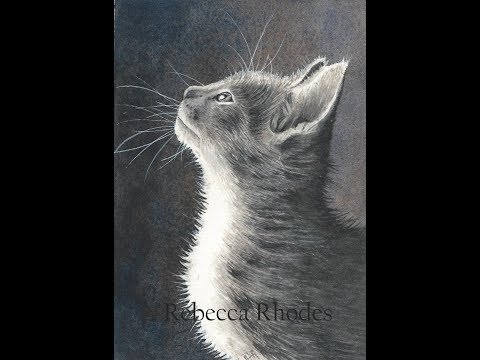 Видео: Как нарисовать чёрно-белого котёнка акварелью, предварительный просмотр курса