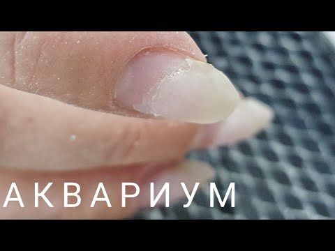 Видео: Аквариум на короткие ногти/Простой аквариумный маникюр/Шулунова Дарья