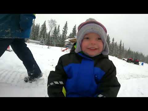 Видео: Снег выпал, это такое счастье 