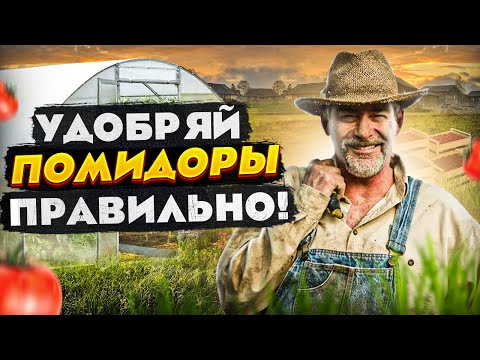 Видео: Чем подкормить помидоры в теплице? Какие удобрения и когда использовать?