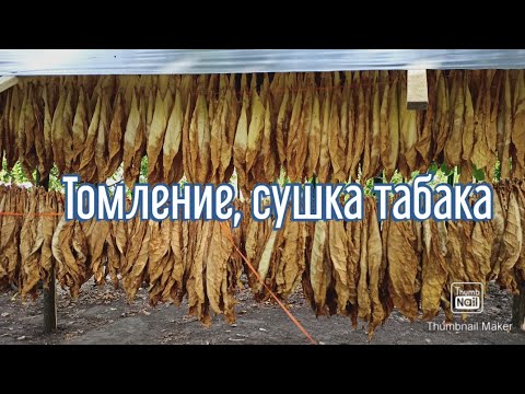 Видео: Томление, сушка. Обзор табака