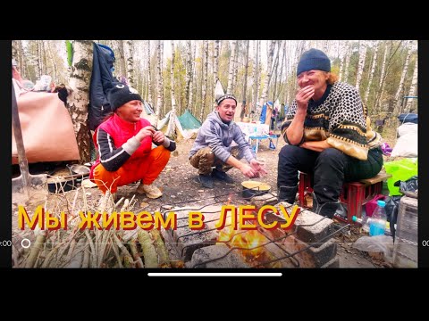 Видео: ЛЮДИ ЖИВУЩИЕ В ЛЕСУ, КАК ПОМЕНЯЛАСЬ ЛЕНА ЗА НАШЕ ОТСУТСТВИЕ? МУСОРЩИК