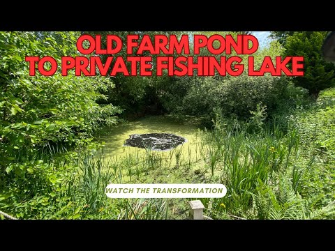Видео: Секретное рыболовное озеро — Реновация
