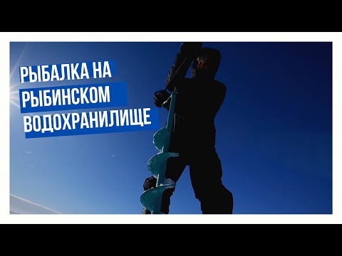 Видео: Рыбалка на Рыбинском водохранилище \ Подледный мир с Владимиром Солоповым