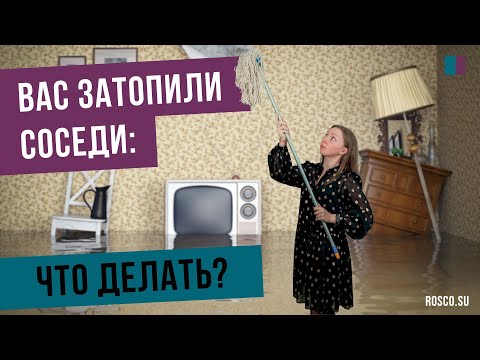 Видео: Вас затопили соседи: что делать?