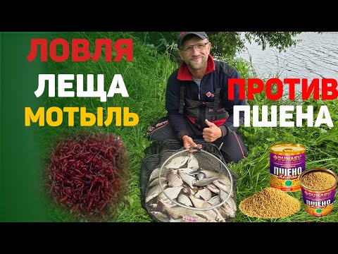 Видео: ловля леща пшено против мотыля