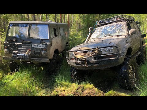Видео: Как найти болото в +30? TLC80, Wrangler, Volvo c303 - все на одинаковых мостах)
