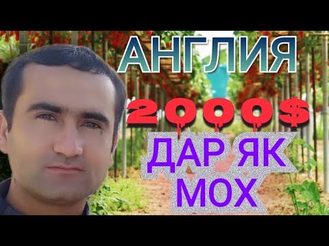 Видео: ДАР  ЯК МОХ ДАР АНГЛИЯ ЧАНД ХАЗОР ДОЛЛАР МАН КОР КАРДАМ!
