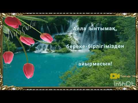 Видео: Ағайын,Туған-туыс аман болсын!❤