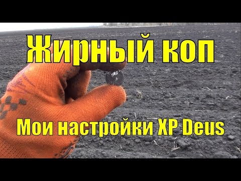 Видео: Жирный коп. Настройки XP Deus. В поисках золота UA!