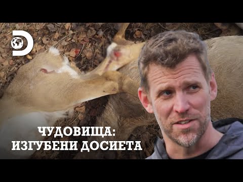 Видео: Тези елени са разкъсани! | Чудовища: Изгубени досиета