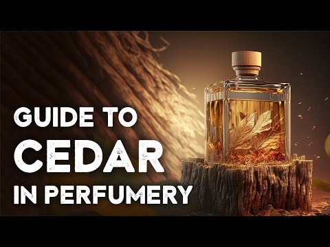Видео: Кедровые ноты в парфюмерии, руководство для парфюмеров