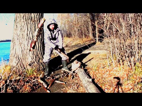 Видео: Время на НАЛИМА!ОСЕННЯЯ РЫБАЛКА НА ОБИ! ЗАКИДУШКИ НА ХИЩНИКА! Рыбацкая кухня.