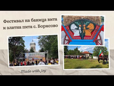 Видео: Фестивал на баница вита и златна пита с  Борисово
