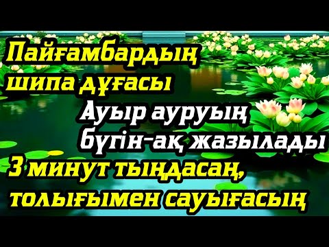 Видео: Пайғамбардың шипа дұғасы Ауыр ауруың бүгін-ақ жазылады3 минут тыңдасаң, толығымен сауығасың