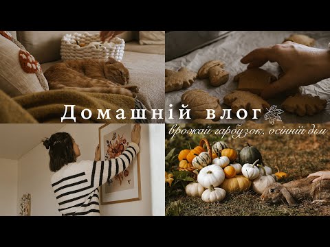 Видео: Декор будинку до осені 🍂 врожай гарбузок 🍁 Затишний влог ☕️ Осіннє натхнення та домашній вечір