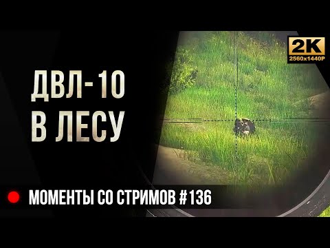 Видео: Снайпер с ДВЛ-10 в Лесу • Escape from Tarkov №136 [2K]