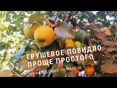 Видео: Как приготовить грушевое повидло.Простой способ сохранить урожай!#простыерецепты#грушевоеповидло