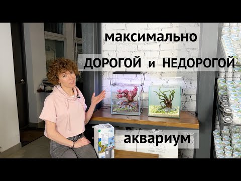 Видео: Аквариум для петушка или креветочник / Фильтр OASE FiltoSmart 60 / Светильник Chihiros WRGB 2