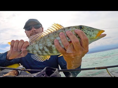 Видео: Рыбалка на императорском рифе Бали┃2 дня с каяком в море. Часть 2