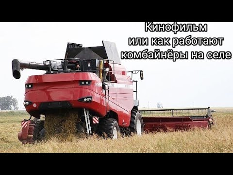 Видео: Кинофильм или как работают комбайнёры на селе/ Архив 2017 год