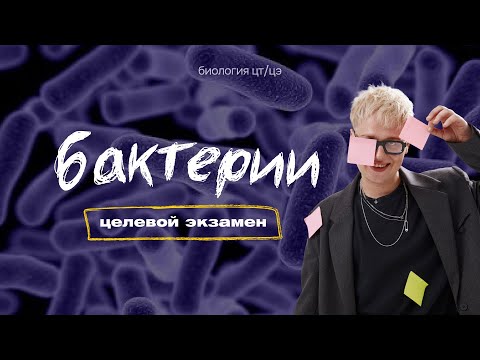 Видео: БАКТЕРИИ | Целевой экзамен