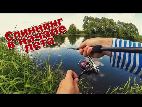 Видео: Ловля на спиннинг в начале июня | Щука и окунь на лёгкий джиг и воблеры