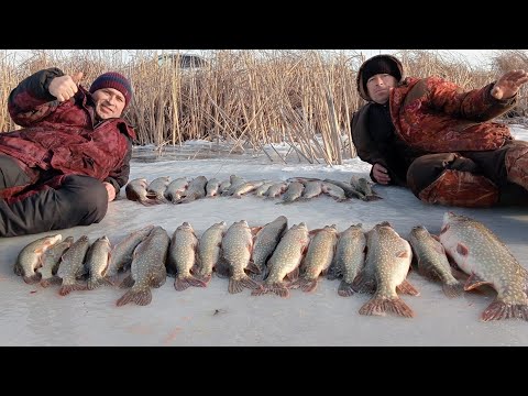 Видео: Рыбалка в Казахстане.Первый лёд продолжается.