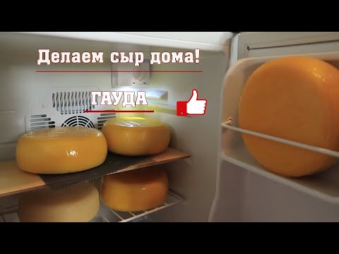 Видео: Настоящий выдержанный сыр! Гауда