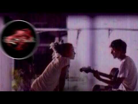 Видео: Я только твой поэт❤✌