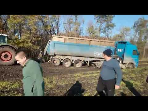 Видео: Возим свеклу 2022 перезалив.