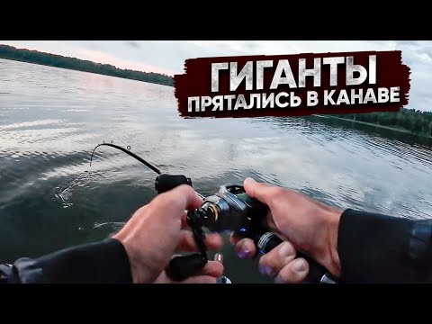 Видео: Где прячутся здоровенные судаки?! Первые и ГЛАВНЫЕ настройки в GARMIN